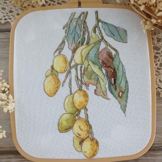 Xiutime Cross Stitch KitNO. 169Wampee Fruit