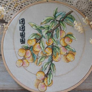 Xiutime Cross Stitch KitNO. 171Longan
